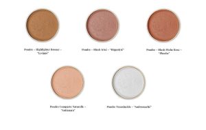 Makeup touch-up kit with 5 'matte skin' powders
